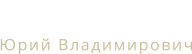 Литвинец Юрий Владимирович